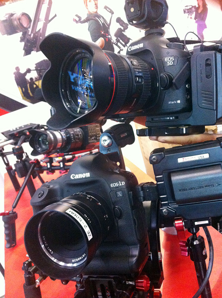 Regenjas Afrikaanse oppervlakkig Canon 1D X has sharper video image than the 5D mkIII - comparison video -  Newsshooter