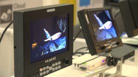Newsshooter at NAB NY 2016 MustHD M703S monitor