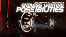 Endless Lighting Possibilities iFootage COB 40° Light Projector