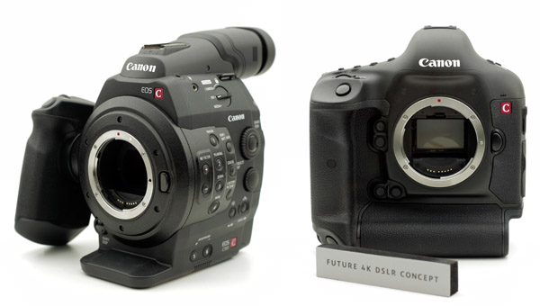 canon stuff
