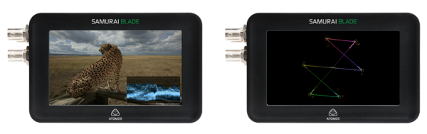 Samurai_Blade_Hero_WFM_01