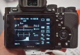 Sony A7 info screen