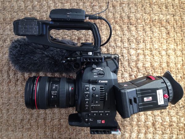 I think the Zacuto Z-finder is essential for the original C100