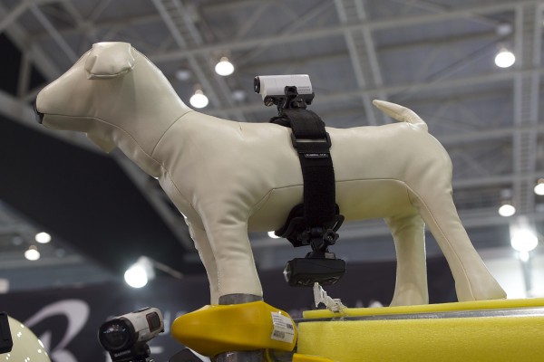 Need to mount two cameras on a dog, they have a solution.