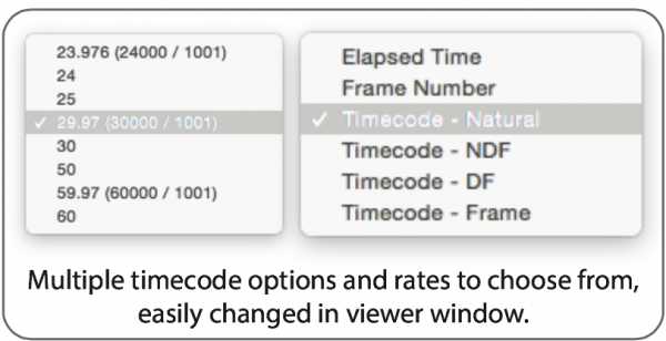 Multiple timecode options and frame rates are available