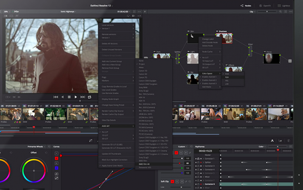 Davinci Resolve 12