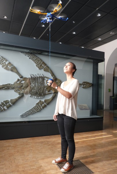 The leash in operation