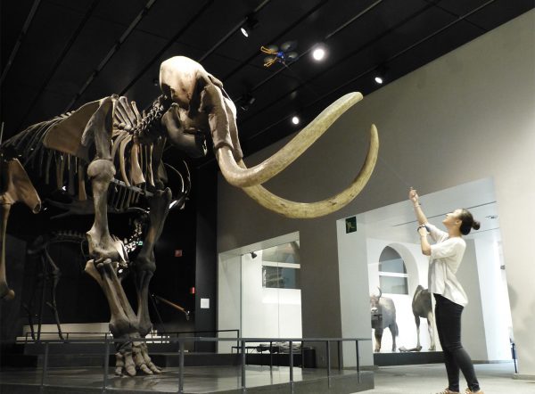 The Fotokite Phi can be used indoors