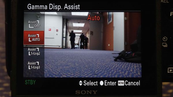 Gamma Display Assist Auto setting