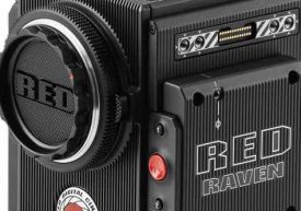 red raven brain only 11