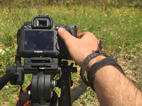 In the field filming butterflies when a critically endangered Karner blue butterfly lands on Justin Grubb's hand.