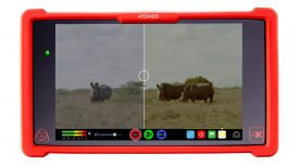 filmconvert atomos