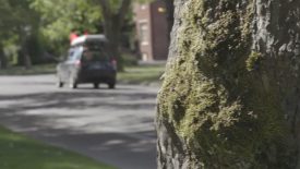 Canon XC10 New Firmware AF Test