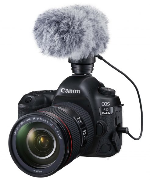 Audio is catered for with a 3.5mm mic jack. There is no Canon XLR option.