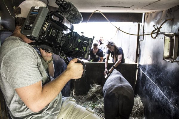 Garth de Bruno Austin using a Blackmagic Ursa Mini 4K on location, filming an orphaned rhino