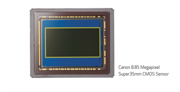 Canon C200 sensor