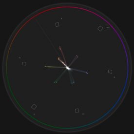GH5 vectorscope overlay