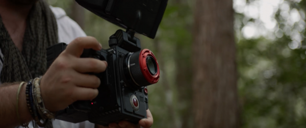 Meet the Wilds – capturing wildlife with RED cameras