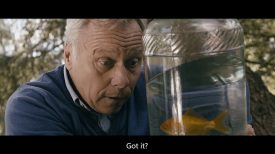 Fishy Wish My Rode Reel 2018