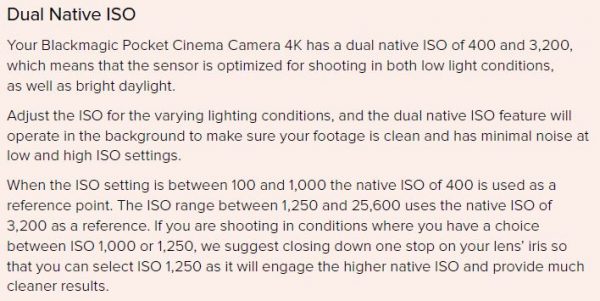 Dual Native ISO Explained
