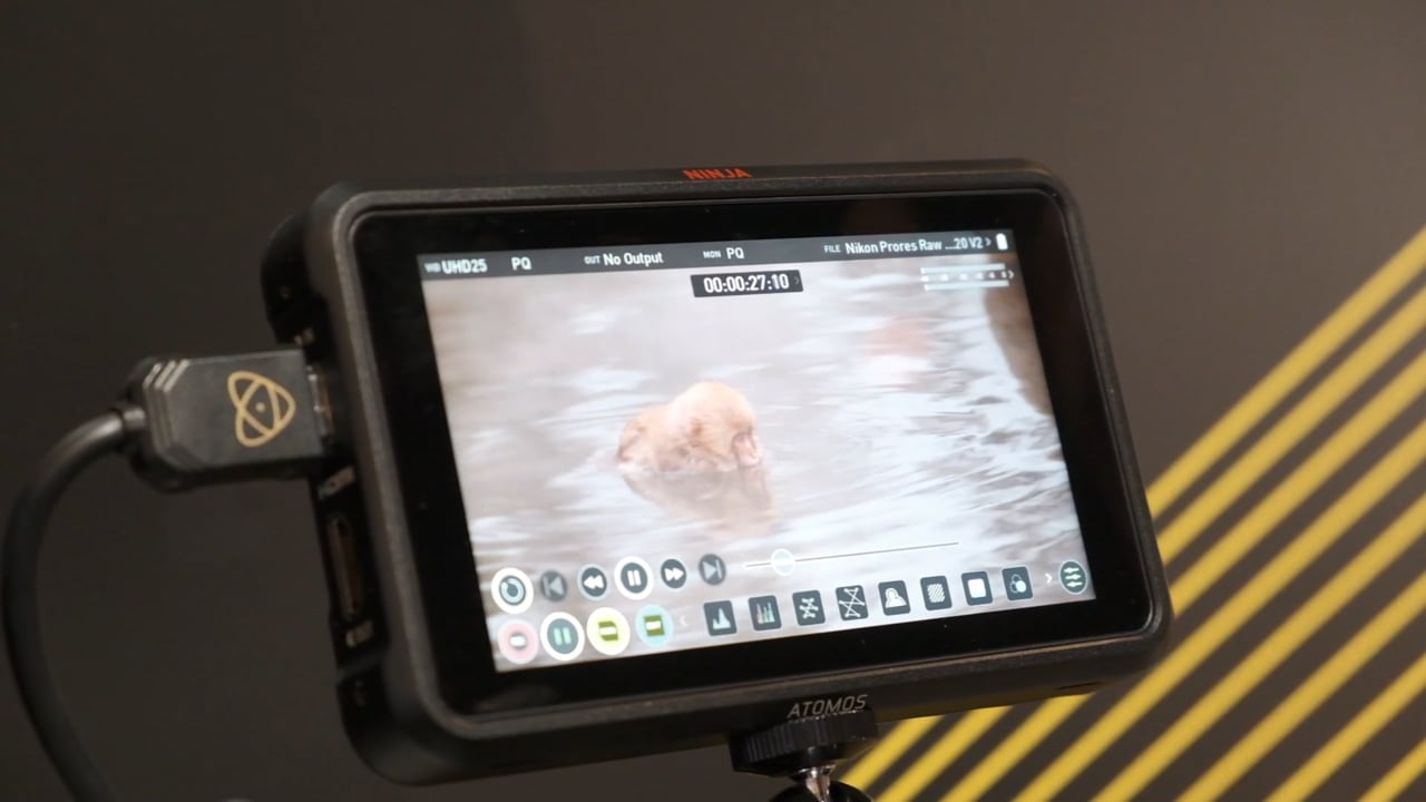 CES Atomos and Nikon develop ProRes Raw with HDMI out to Ninja V
