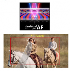 Canon announces 4K XA40, XA50 & XA55 professional camcorders - Newsshooter