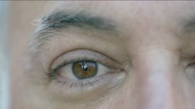 Sharp 8K MFT Camera Samples NAB 2019 2