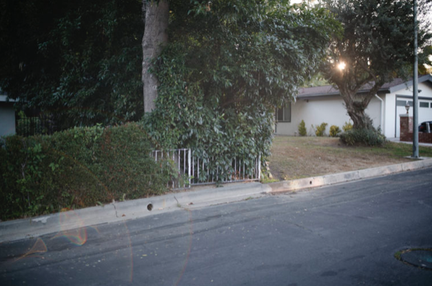 Screen Shot 2019 07 30 at 9 22 54 AM