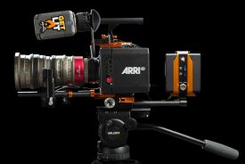 tb50 Hammerhead ignite digi 4