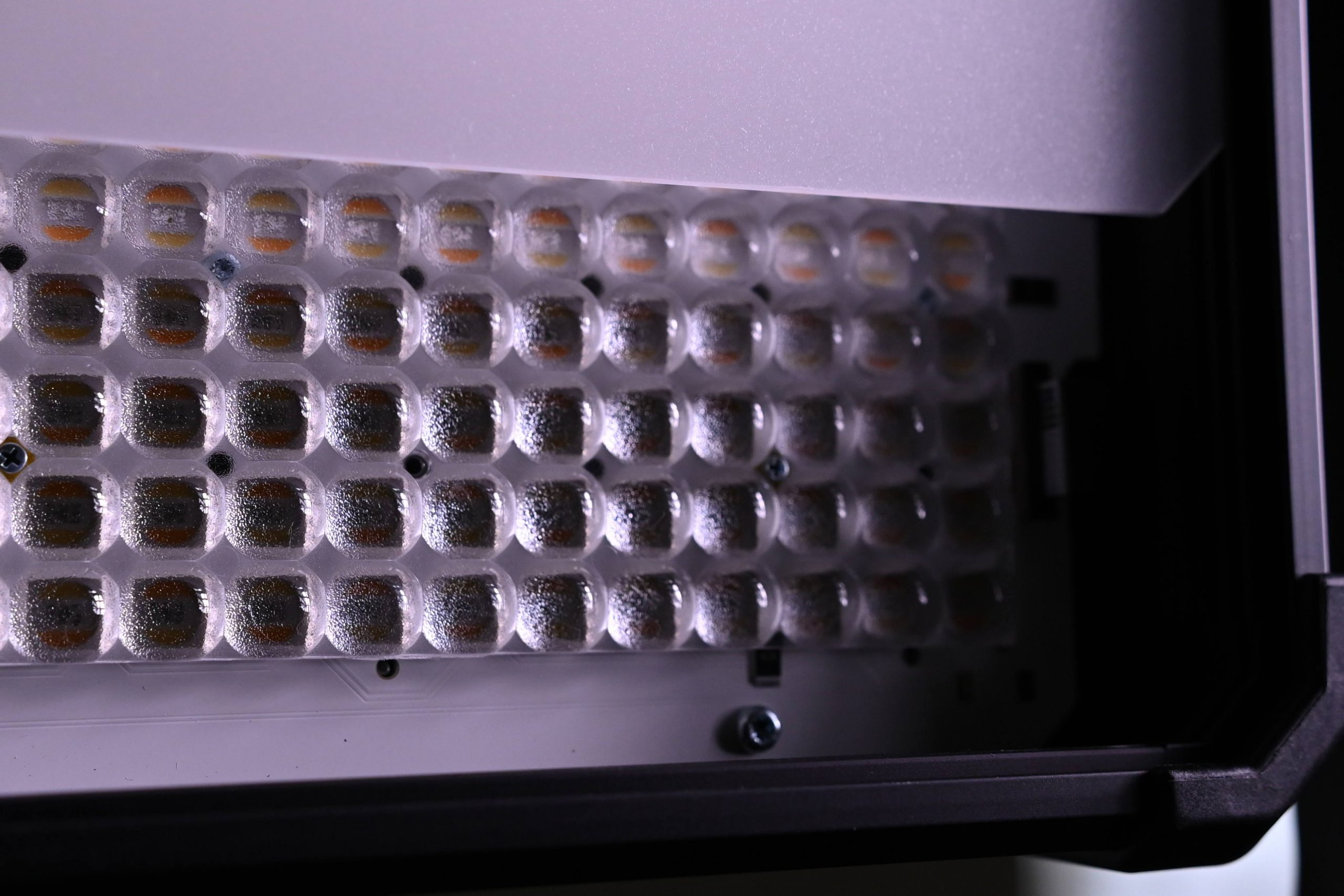 Dsc 7106 Newsshooter