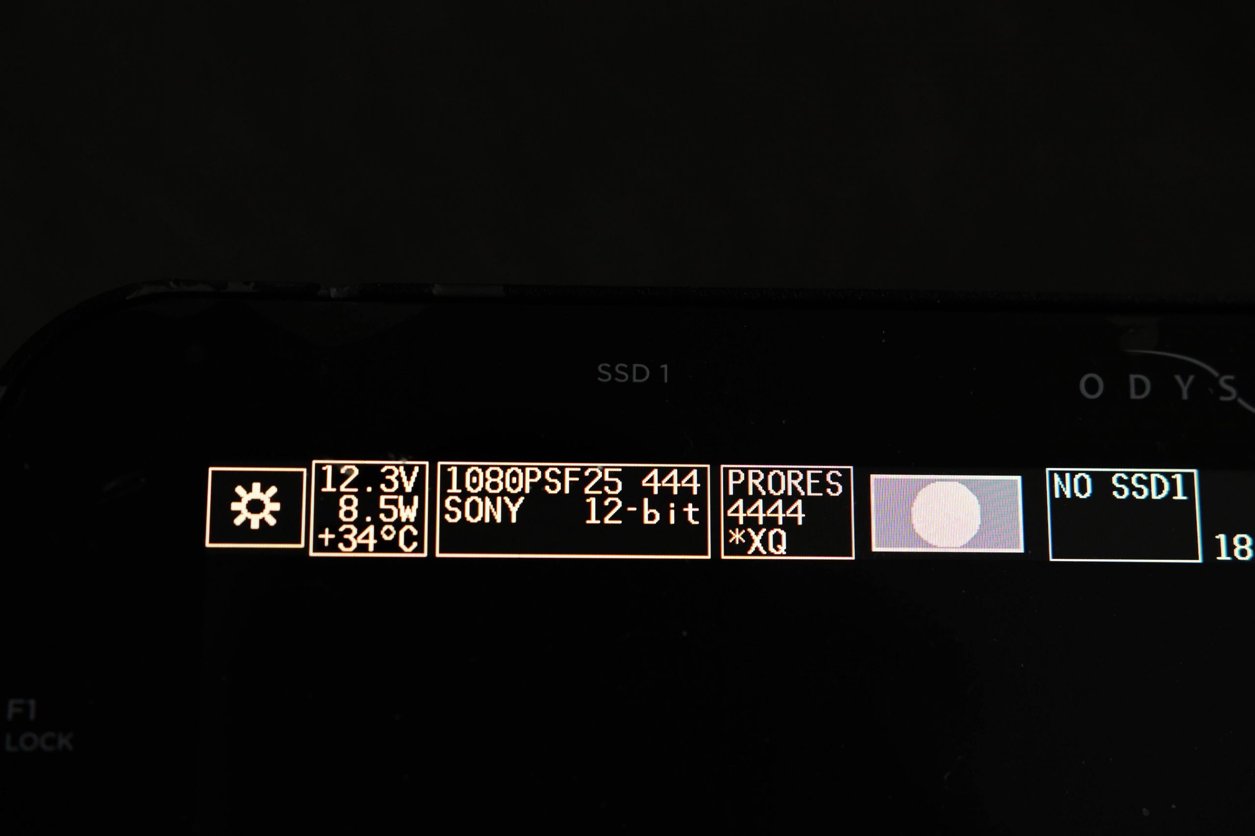 DSC 7491 01 - Newsshooter