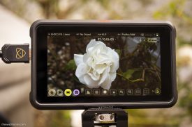 Ninja V False Color results good exposure