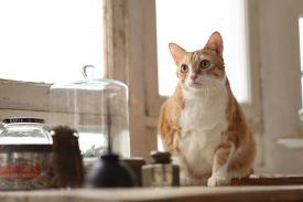 RF 85mm f2 Macro IS STM Sample image 3