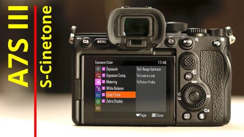 Cinetone settings for the Sony A7S III