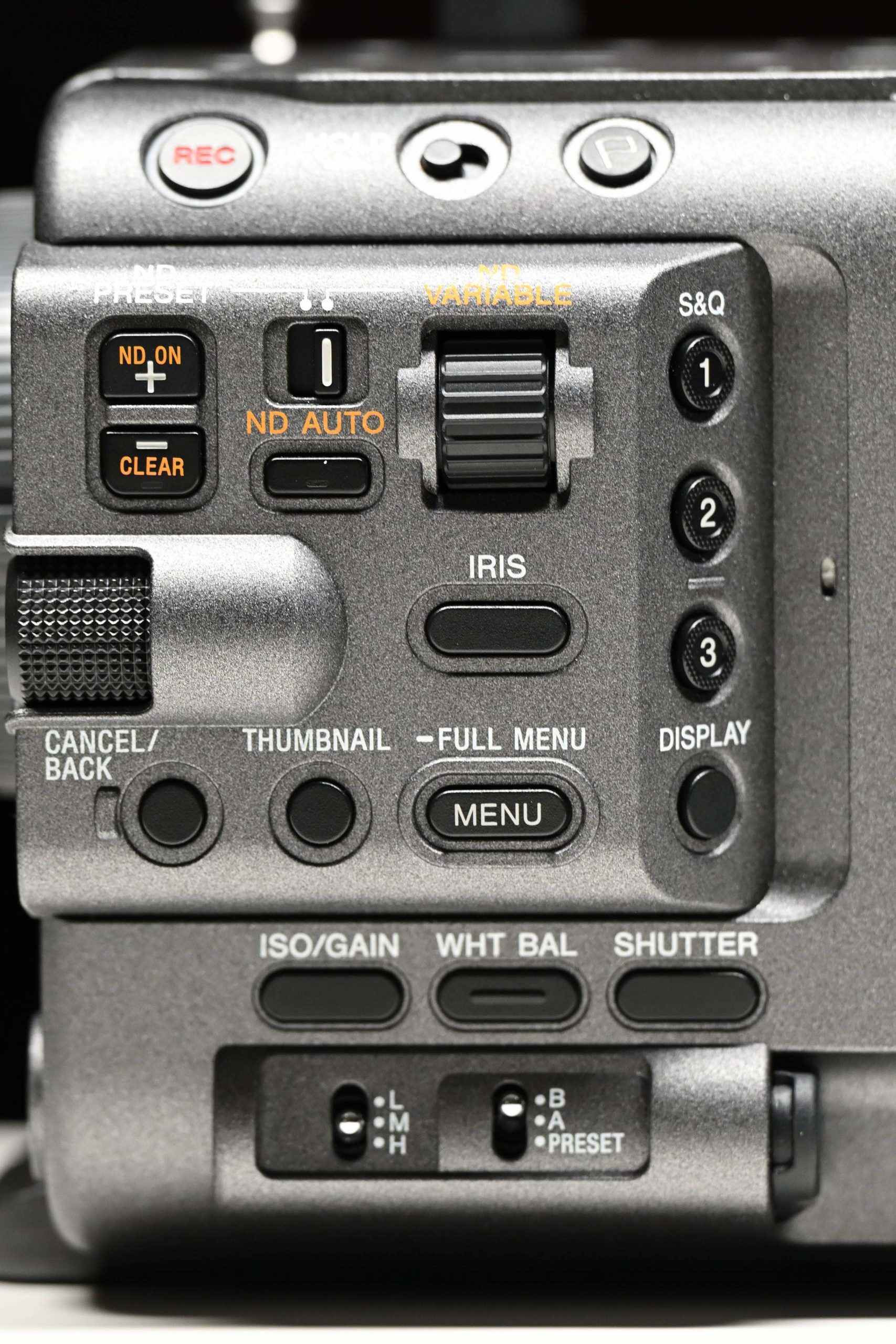 DSC 4406 01 - Newsshooter