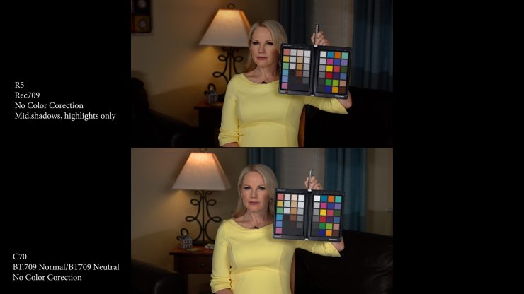 Skin Tone Tests R5 and C70