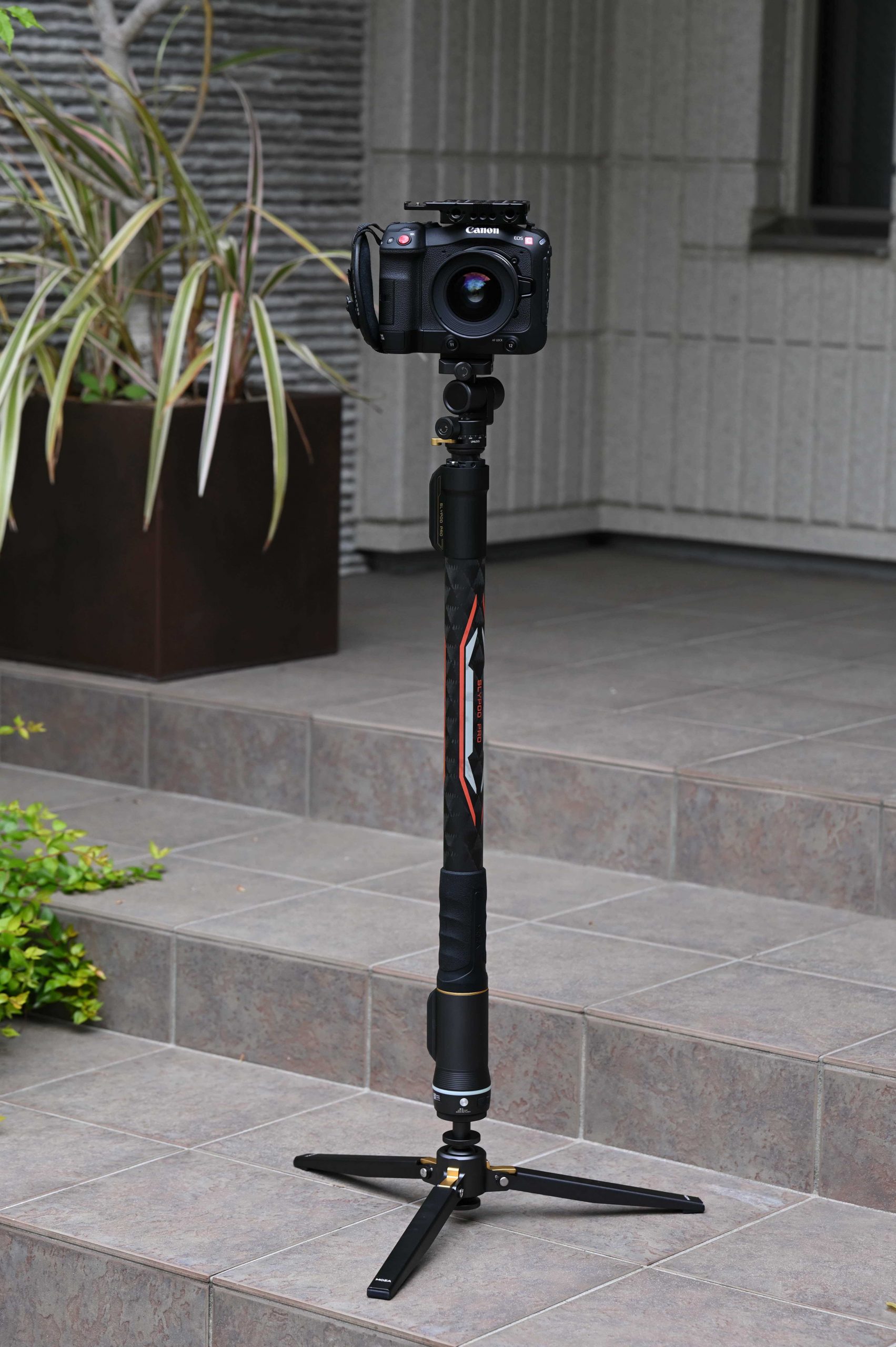 DSC 5286 01 - Newsshooter