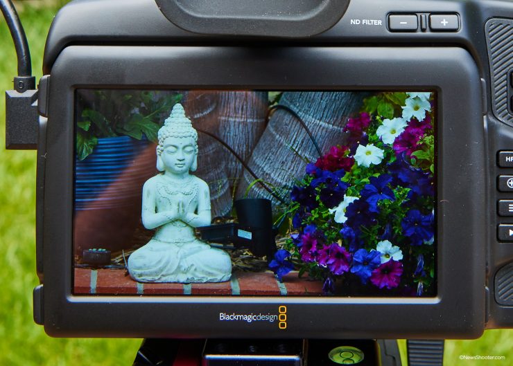 Blackmagic Pocket Cinema Camera Pro EVF – Mirino OLED Con Diottrie, Sensore Di Prossimità E Display Di Stato