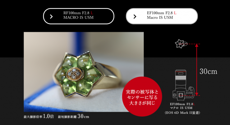 Screen Shot 2021 04 14 at 13 13 26