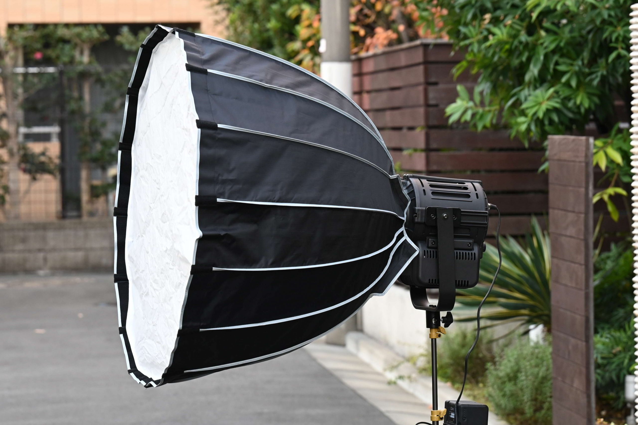 DSC 8659 - Newsshooter