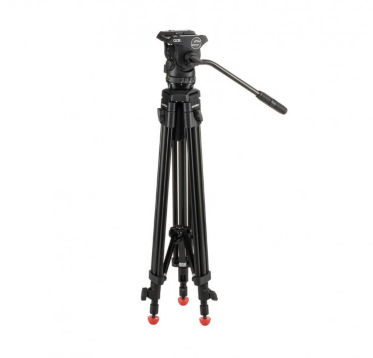 Screenshot 2021 12 28 at 10 43 17 AM