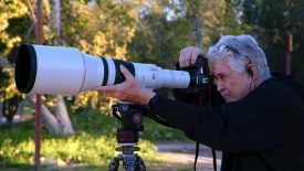 Introducing the Canon RF1200mm F8 L IS USM with Peter Read Miller
