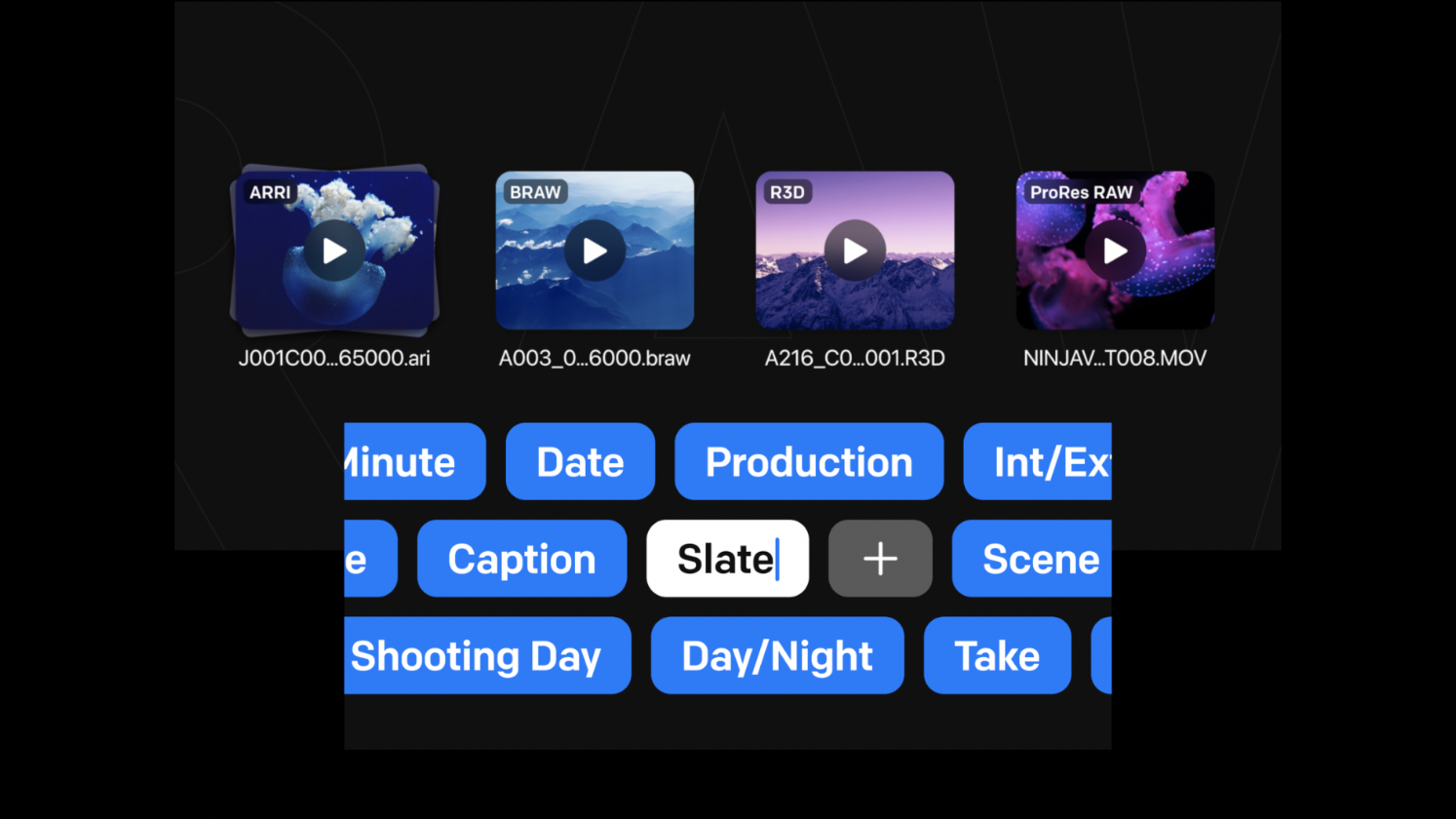 Hedge, Canister, & EditReady get majors updates Newsshooter