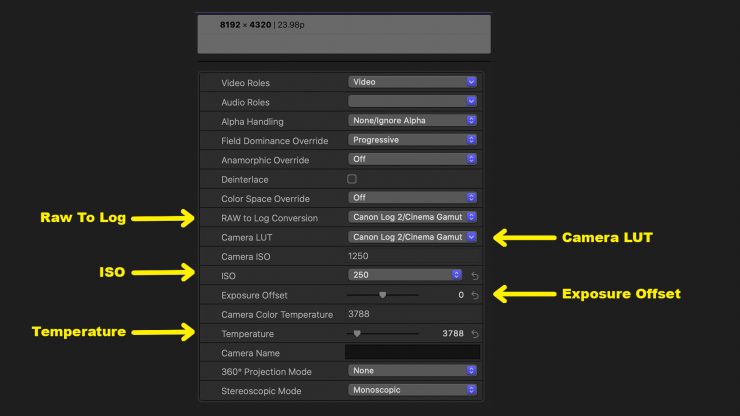 FCPX Raw settings