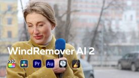 WindRemover Plugin for Final Cut Pro Premiere Pro Davinci Resolve Audition Logic Garage Band