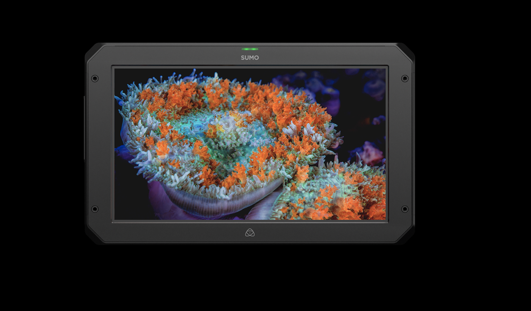 Atomos Sumo 19