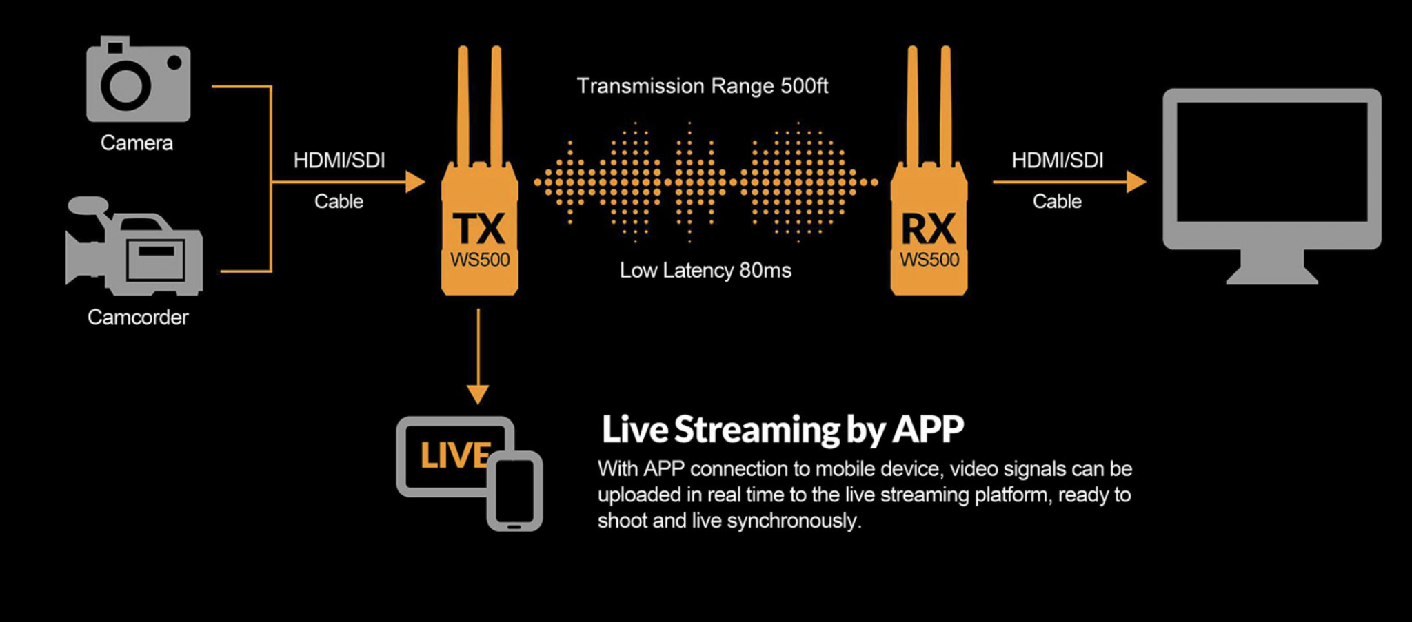 Lilliput WS500 Wireless Video Transmission System Newsshooter