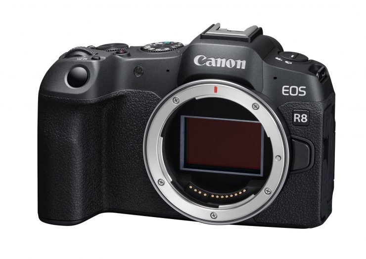 EOS R8: 6 key features - Canon Europe