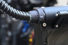 Bright Tangerine Prodigy 46