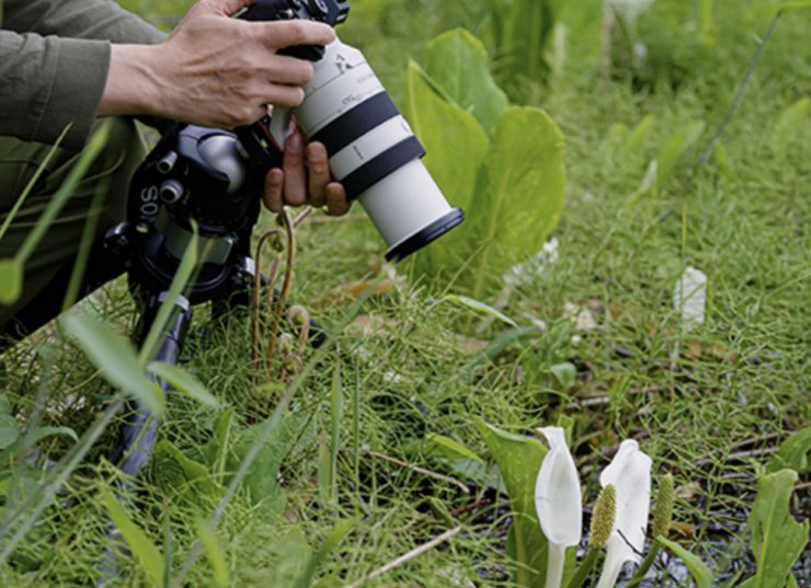 Screenshot 2023 07 12 at 11 41 00 PM